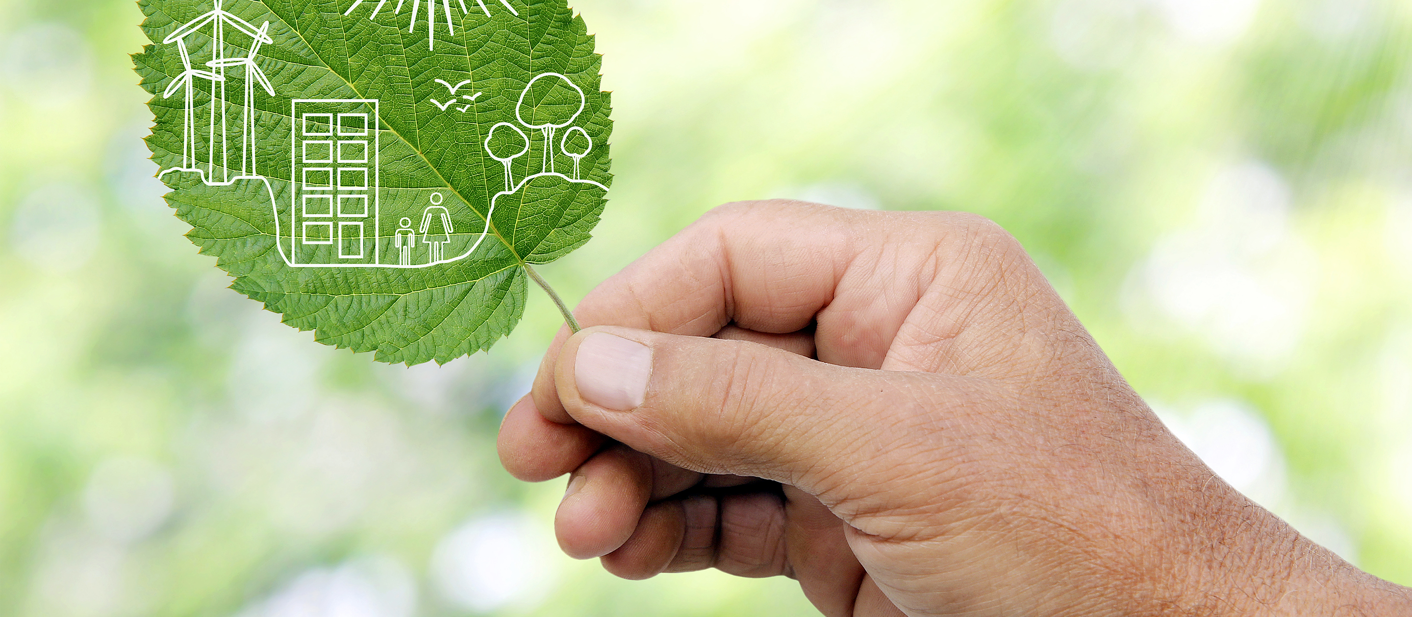 energy sustainability policy leaf 
