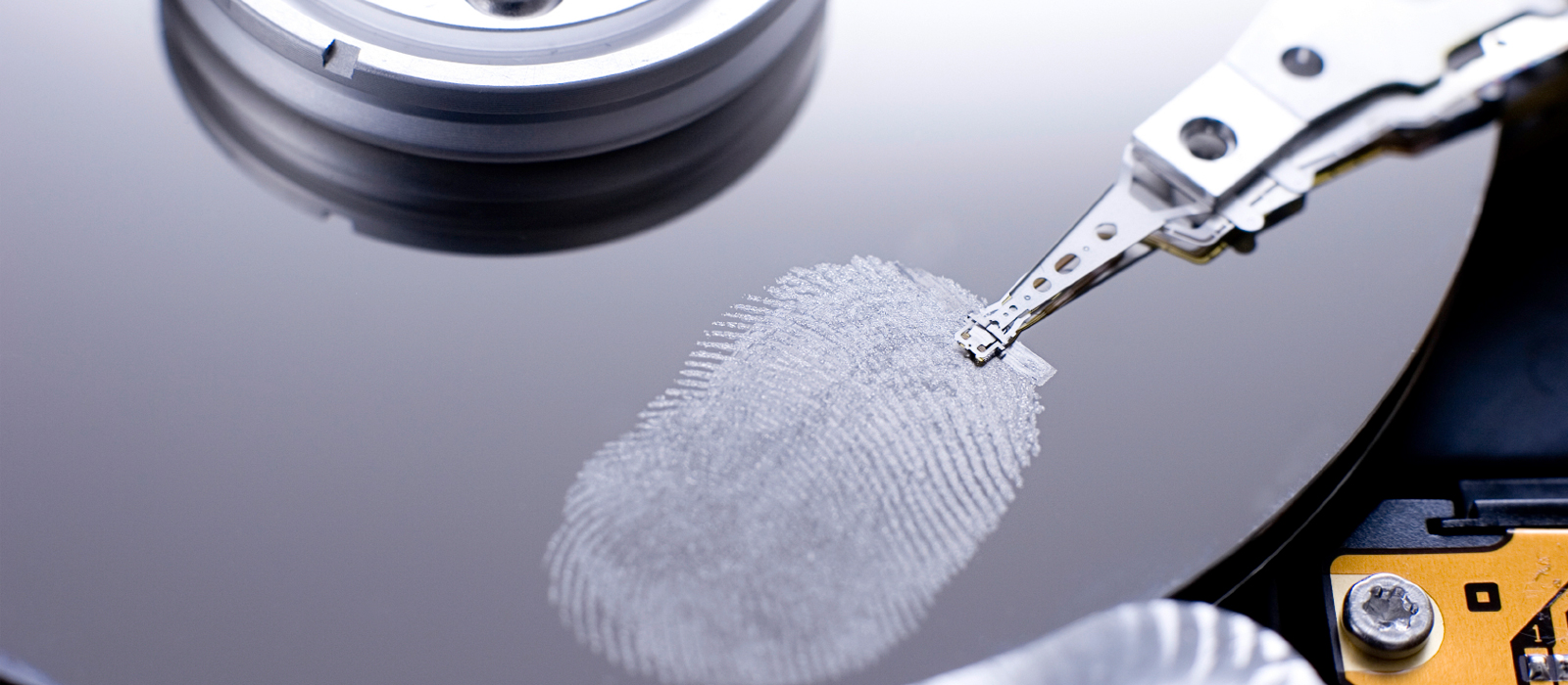 Homeland Security forensics print image