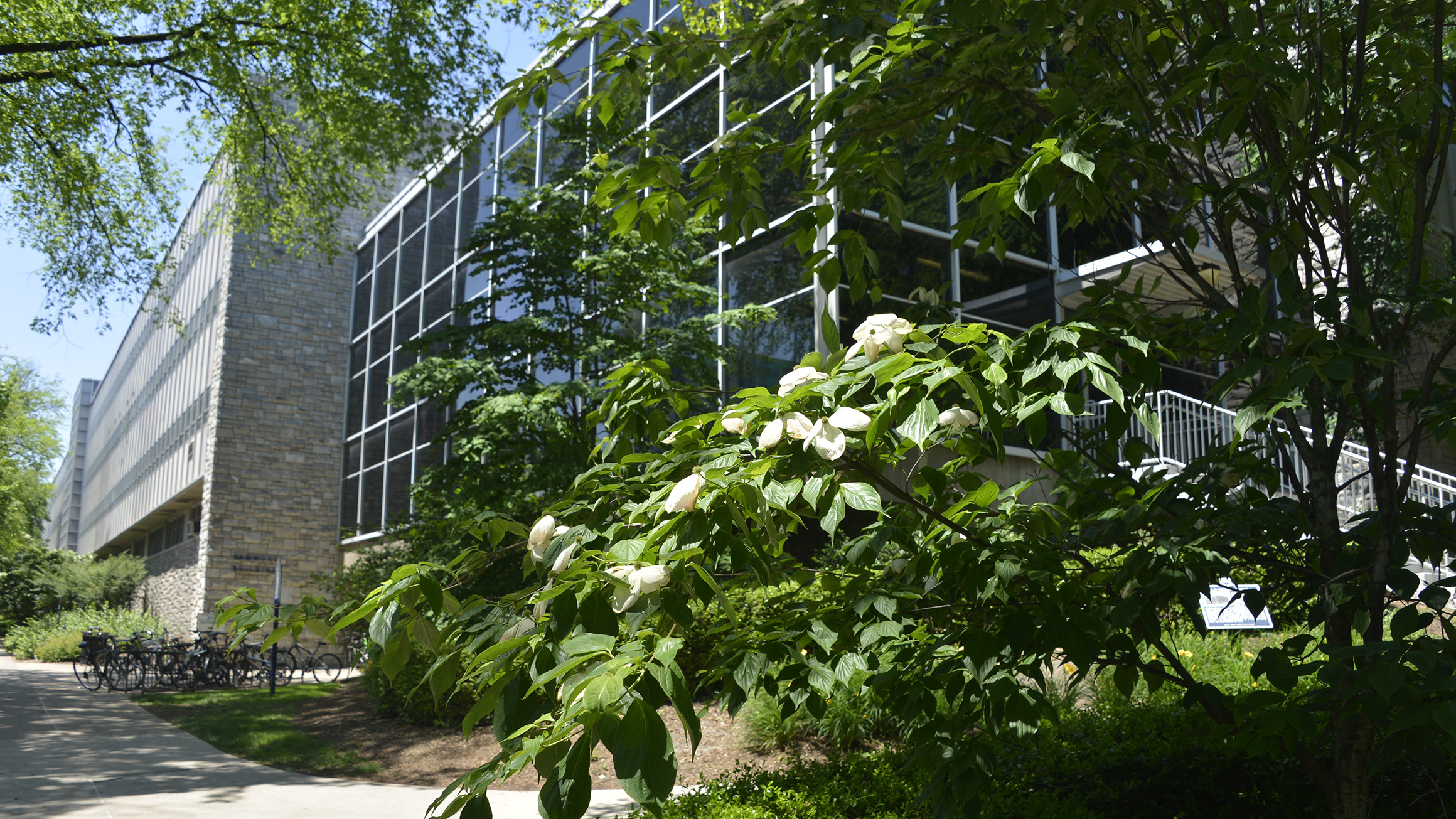 An exterior photo of the Hammond Building at the University Park campus.