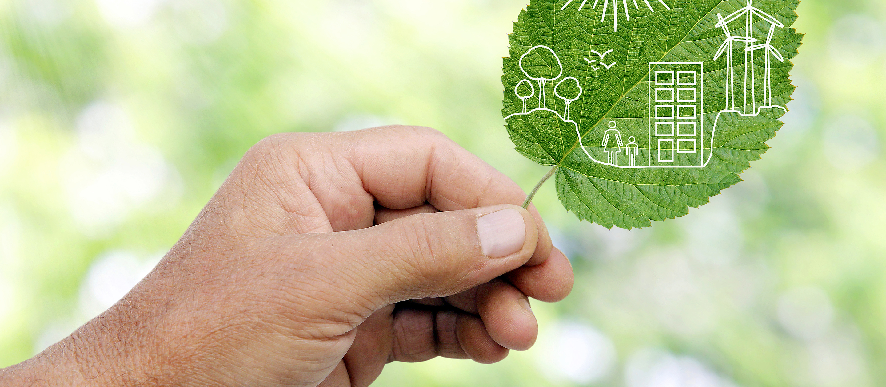 hand holding a leaf with images of trees, buildings, and people drawn on it