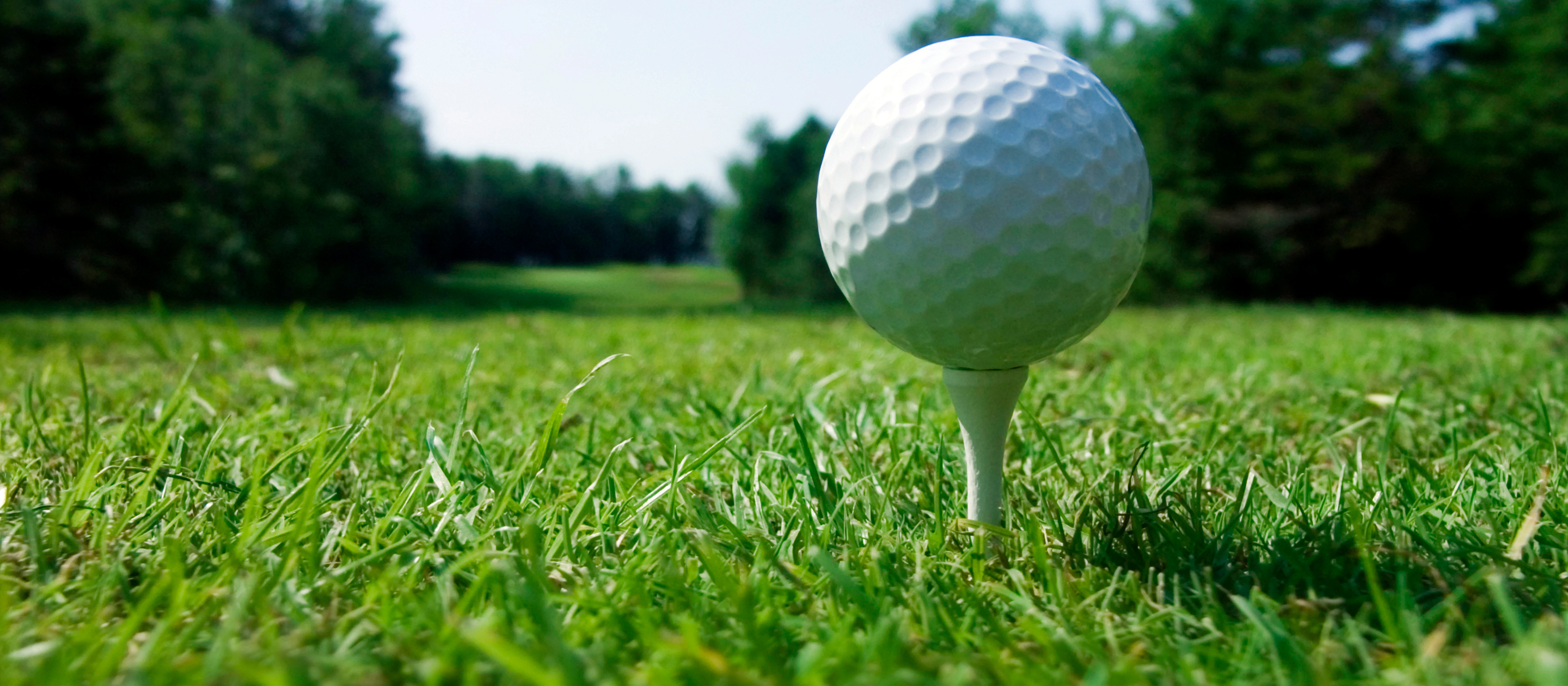 close-up of a golf ball on a tee surrounded by green grass