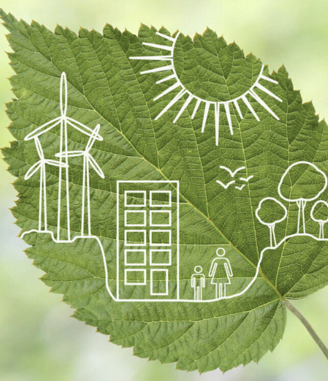 leaf with a city scape drawing 