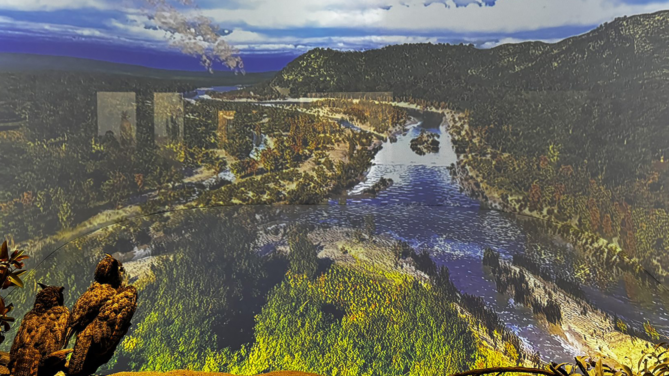 A diorama of a wooded area and river. 