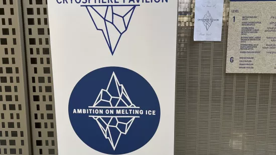 A banner with the crysophere pavilion logo