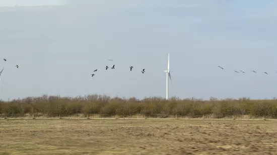 a photo with windmills in the background