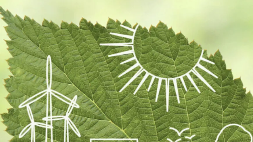 leaf with a city scape drawing 