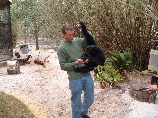 Zookeeper feature siamang